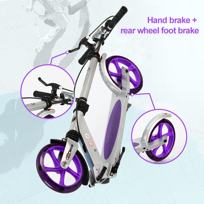 Self Balancing 2 Wheel Scooter 100kgs Load Foldable Kick Scooter